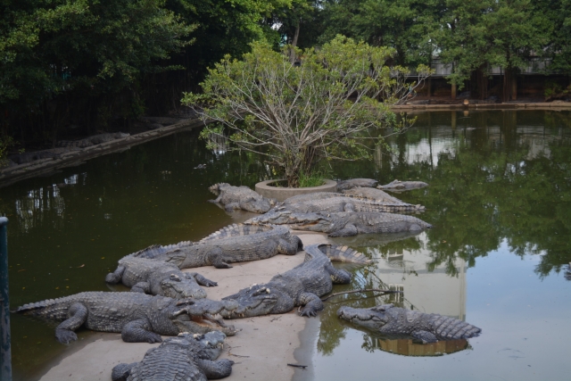 Mekond Delta, Long Xuyen, Crocodile Farm, Backpackjunkies
