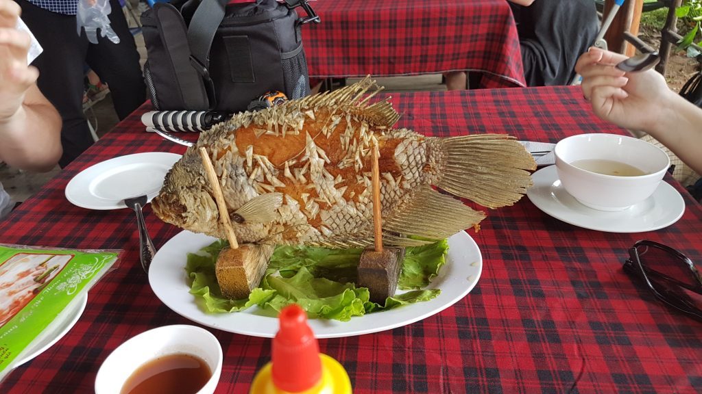 Mekong Delta, Ben Tre, Elephant Ear Fish, Backpackjunkies