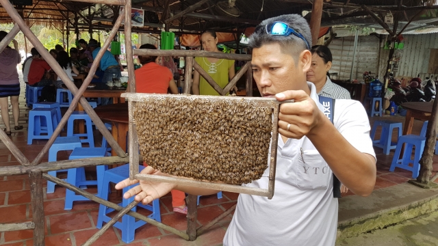 Mekong Delta - My Tho - Bee Keeping Farm_02 - Backpackjunkies Mekong Delta, My Tho, Bee Keeping Farm, Backpackjunkies