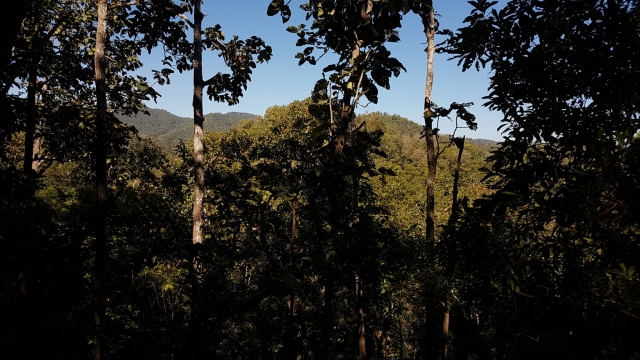 Mae Hong Son Loop, Mae Sariang, Salawin National Park, Backpackjunkies