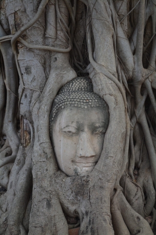 Ayutthaya, Wat Mahathat, Backpackjunkies