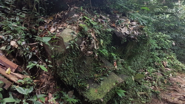 Kuching - Kubah National Park 04 - BackPackJunkies