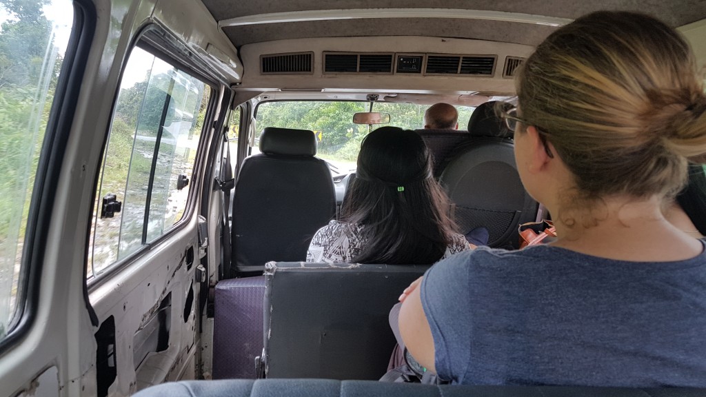 Kuching - Kubah National Park 05 - BackPackJunkies