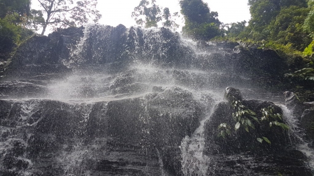Kuching - Kubah National Park 07 - BackPackJunkies