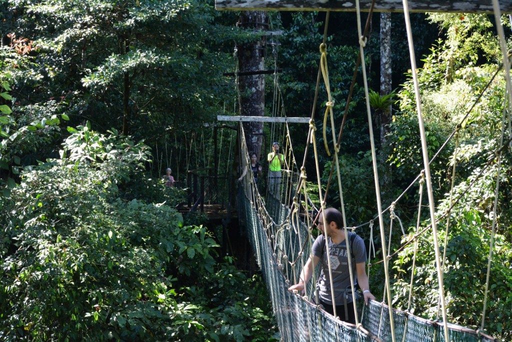 Mulu National Park, Canopy Walk, Backpackjunkies
