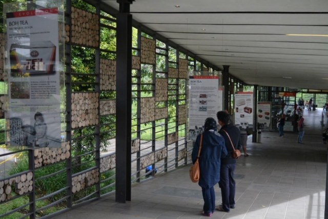 Cameron Highlands - Boh Sungai Tea Centre_04 - Backpackjunkies Cameron Highlands, Boh Sungai Tea Centre, Backpackjunkies