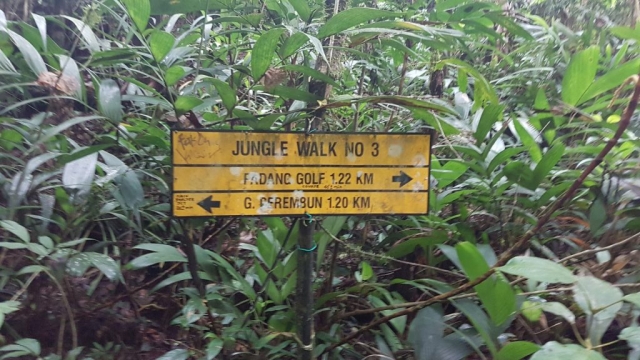 Cameron Highlands - Borden_01 - Backpackjunkies Cameron Highlans, trail 5, trail 3, Backpackjunkies