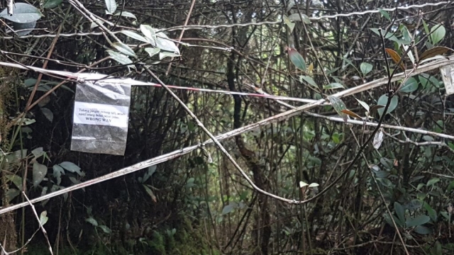 Cameron Highlands - Borden_03 - Backpackjunkies Cameron Highlans, trail 5, trail 3, Backpackjunkies