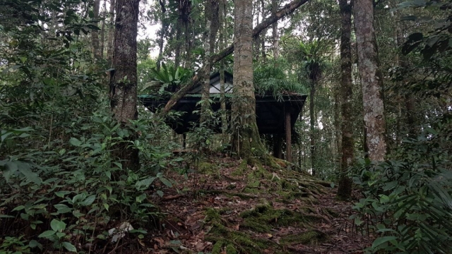 Cameron Highlands - Schuilplek - Backpackjunkies Cameron Highlands, Trail 5, Backpackjunkies