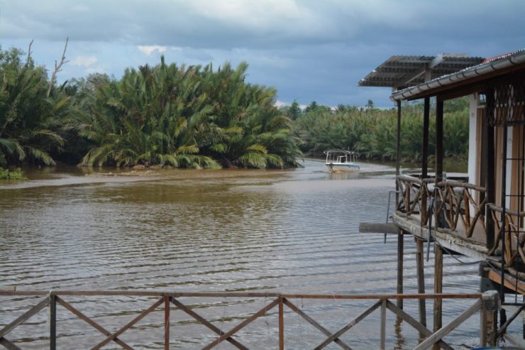 Kota Kinabalu, Weston Wetlands, Kenji, Backpackjunkies