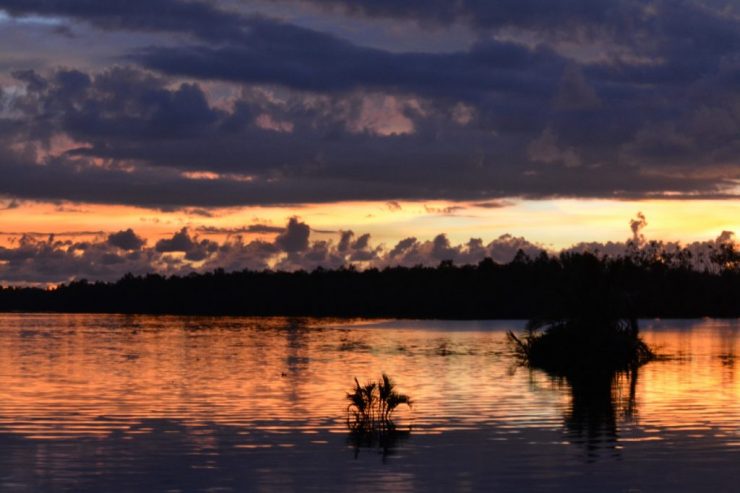 Kota Kinabalu, Weston Wetlands, Zonsondergang, Backpackjunkies