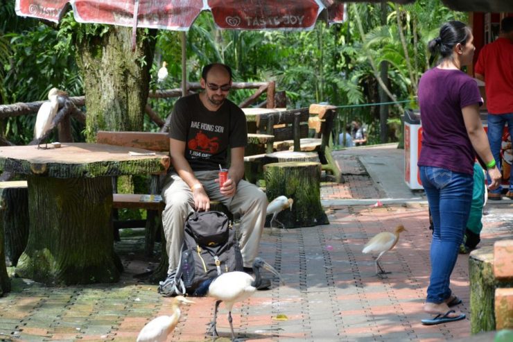 Kuala Lumpur Bird Park, Kenji, Backpackjunkies
