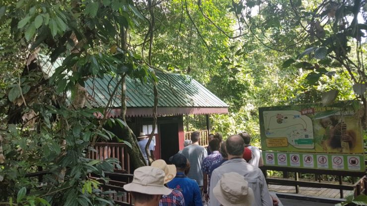 Sepilok Orangutan Rehabilitation Centre, Backpackjunkies