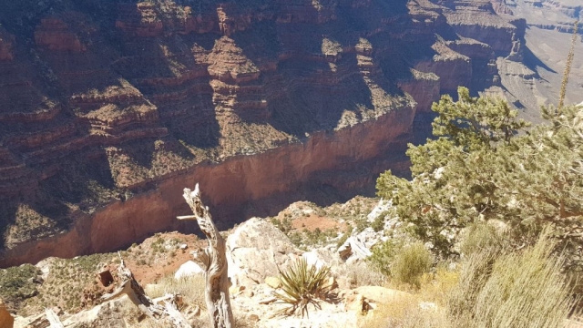 Amerika - Grand Canyon 06 - BackPackJunkies
