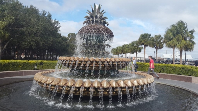 Charleston, Waterfront Park, Backpackjunkies