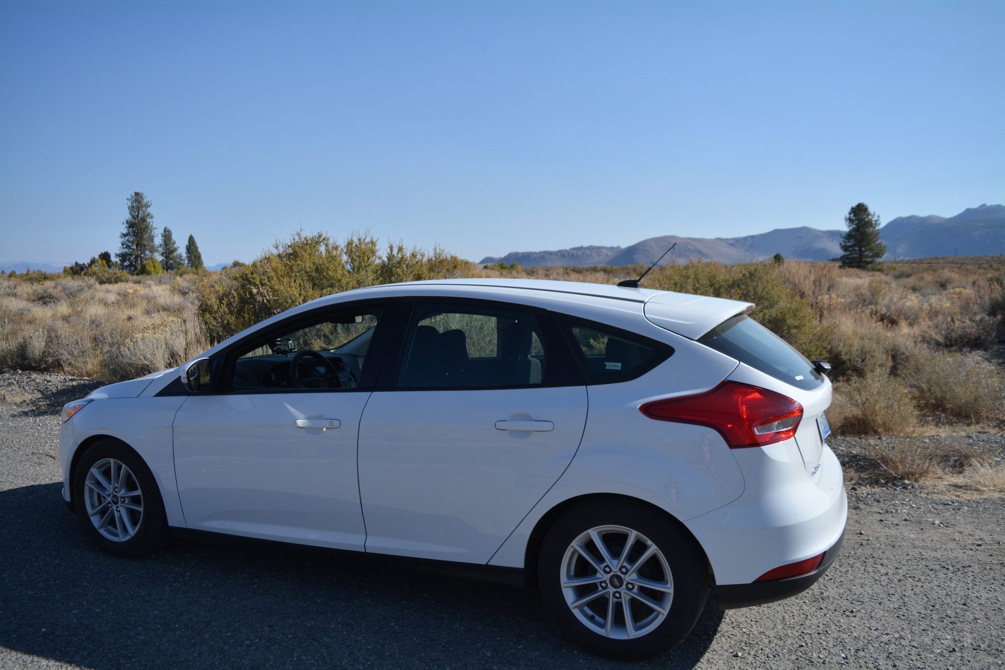 Amerika - Ford Focus - Backpackjunkies
