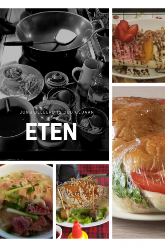 Jong geleerd is oud gedaan