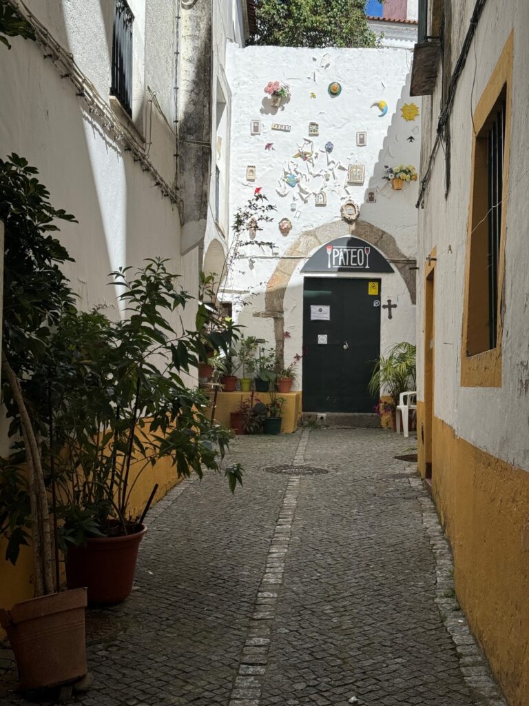 Wat is er te zien en te doen in Evora - Dwaal door de straten van Évora