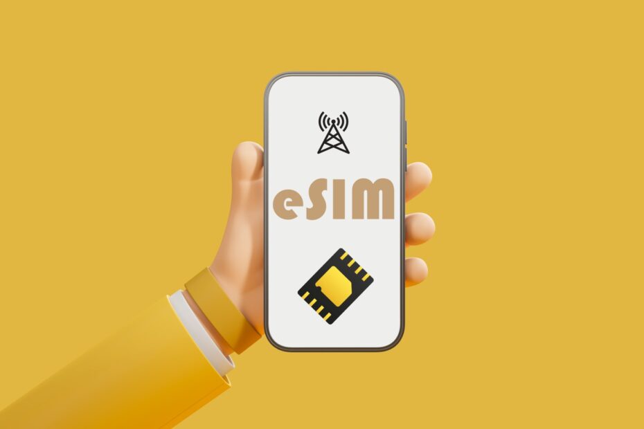 eSIM De ideale oplossing voor data in het buitenland - Backpackjunkies